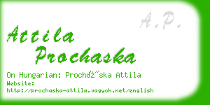 attila prochaska business card